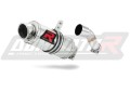 exhaust muffler DOMINATOR GP1 fits the motorcycle Yamaha YBR 250  4