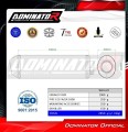 exhaust muffler DOMINATOR OVR fits to Yamaha FZS FAZER 1000 2001  2005 3
