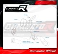 exhaust muffler DOMINATOR homologated road legal GP fits the motorcycle Kawasaki Z 900 A2 2020   2024 7