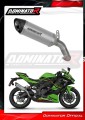 exhaust muffler DOMINATOR titanium HP8 fits the motorcycle Kawasaki ZX 4R / RR 2023   2024