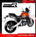 exhaust muffler DOMINATOR GP1 fits to Yamaha MT 03 660 2006  2013 3