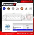 exhaust muffler DOMINATOR S6 fits the motorcycle CF MOTO 450 MT 2024  5