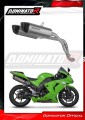 exhaust muffler DOMINATOR titanium HP6 fits the motorcycle Kawasaki ZX10R 2006   2007 2