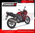 exhaust muffler DOMINATOR oval fits the motorcycle Honda CBR 125 2004   2010 4
