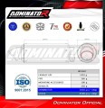 exhaust muffler DOMINATOR GPF BLACK fits the motorcycle Yamaha Tenere 700 2019   2020 3