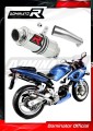 exhaust muffler DOMINATOR GP1 fits the motorcycle Suzuki SV 650 S 1999   2002