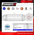 exhaust muffler DOMINATOR HP1 fits the motorcycle Honda CBF 600 2004   2007 3
