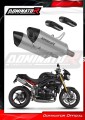 exhaust muffler DOMINATOR titanium HP8 fits the motorcycle Triumph Speed Triple 1050 2011   2016 2