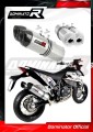exhaust muffler DOMINATOR HP1 fits the motorcycle KTM 690 SM SUPERMOTO