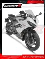 exhaust muffler DOMINATOR titanium HP8 fits the motorcycle Triumph Daytona 660 2024   2026 6