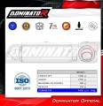 complete exhaust system with muffler DOMINATOR Full System GPF fits to Rieju Aventura 500 2023  2026 7