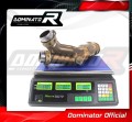 decat mid muffler DOMINATOR Mid Pipe fits to YZF R1 1000 RN12 2004  2006