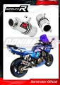 exhaust muffler DOMINATOR GP1 fits the motorcycle Kawasaki ZRX 1200 S 2001   2007