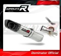 exhaust muffler DOMINATOR HP4 fits the motorcycle KTM 690 Duke R 2010   2011