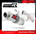 exhaust muffler DOMINATOR GP1 fits the motorcycle Honda CBR 600 F4 1999   2000