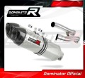 exhaust muffler DOMINATOR HP1 fits the motorcycle Yamaha XJR 1300 99 06  2