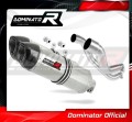 exhaust muffler DOMINATOR HP1 fits the motorcycle Aprilia Pegaso 650 Strada 2005   2006