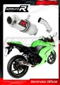 exhaust muffler DOMINATOR GP1 fits the motorcycle Kawasaki ZX250R 2008   2012