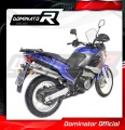 exhaust muffler DOMINATOR oval fits the motorcycle Aprilia Pegaso 650 2001   2004 3