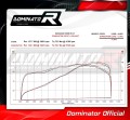 exhaust muffler DOMINATOR GP1 fits the motorcycle Kawasaki ZX6R 636 2009   2024 4