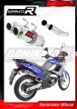exhaust muffler DOMINATOR GP1 fits the motorcycle Aprilia Pegaso 650 2001   2004
