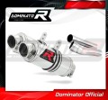 exhaust muffler DOMINATOR GP1 fits the motorcycle Ducati MONSTER 600 1993   2002