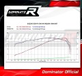 exhaust muffler DOMINATOR oval fits the motorcycle Suzuki GSXR 1300 Hayabusa 1999   2007 4