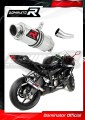 exhaust muffler DOMINATOR GP1 fits the motorcycle Kawasaki ZX6R 636 2009   2024